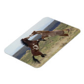 戦うスタリオン、スティーンズマウンテン、オレゴン マグネット (左側)