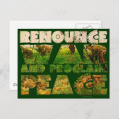 戦争を放棄して平和を宣言する ポストカード (正面/裏面)