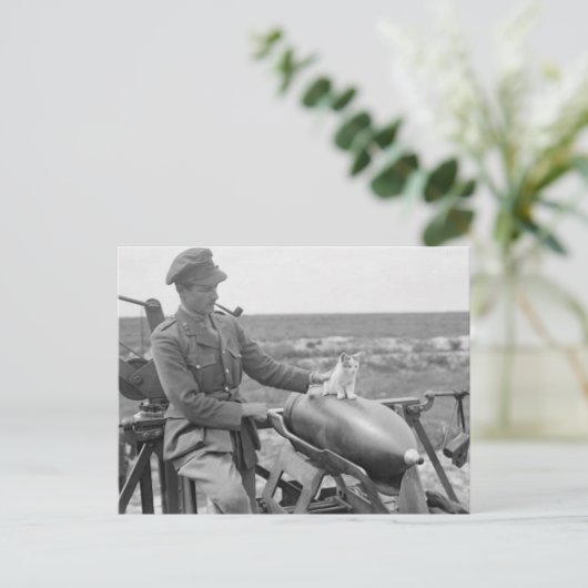 戦争子猫 ポストカード (スタンド正面)