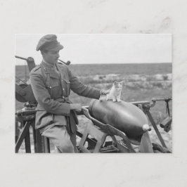 戦争子猫 ポストカード