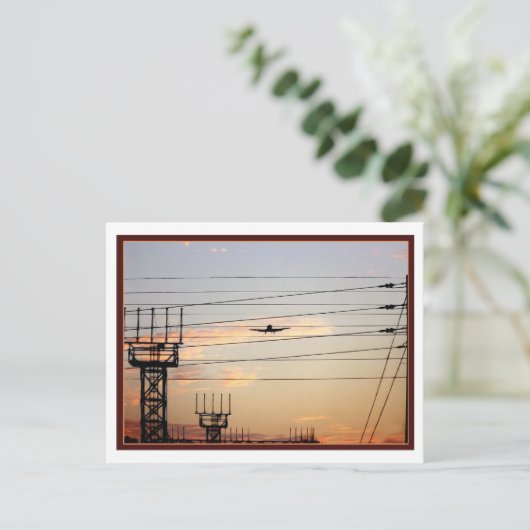 戦争鳥 ポストカード (スタンド正面)