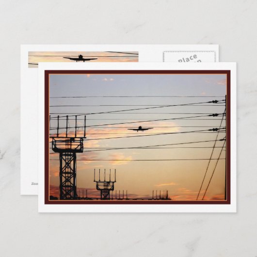 戦争鳥 ポストカード (正面/裏面)