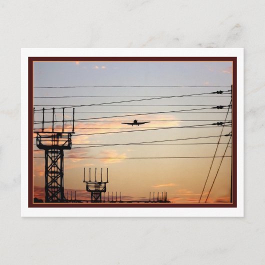 戦争鳥 ポストカード (正面)