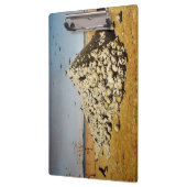 戦争（死と破壊）(スカル) クリップボード (左)