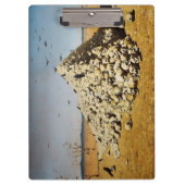 戦争（死と破壊）(スカル) クリップボード (正面)