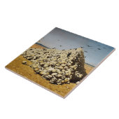 戦争（死と破壊）(スカル) タイル (側面)