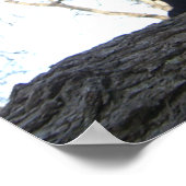 戦士の猫 ポスター (角)