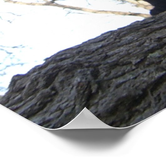 戦士の猫 ポスター (角)