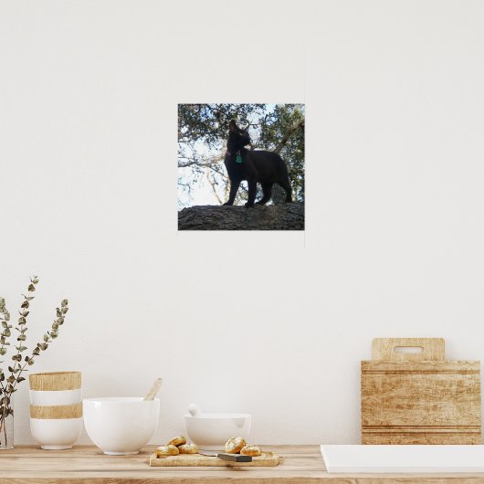 戦士の猫 ポスター (キッチン)