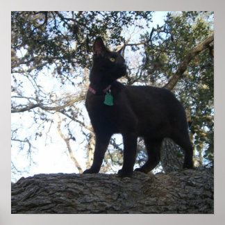 戦士の猫 ポスター