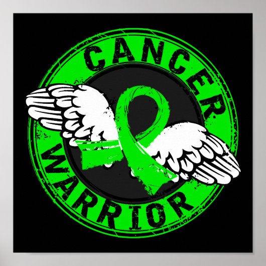 戦士14C非ホジキンリンパ腫 ポスター (正面)