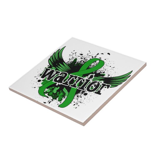 戦士16の腎臓病 タイル (側面)