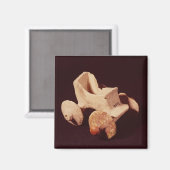 戦車のモデル、紀元前2000-1595 マグネット (正面/裏面)