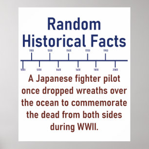 戦闘機日本のパイロット – 歴史ファクト ポスター