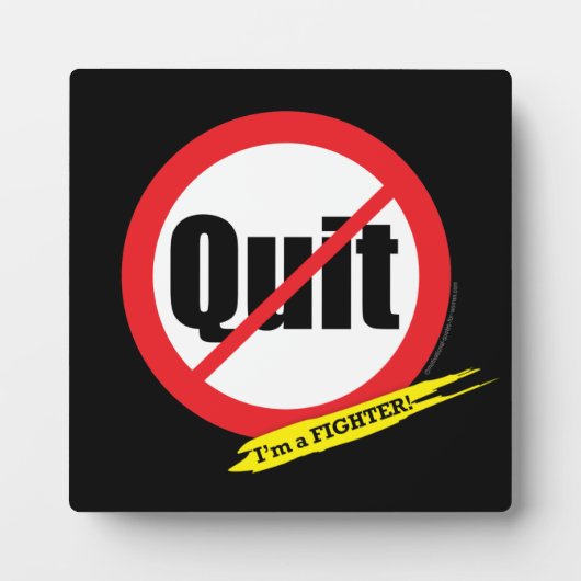 戦闘機 フォトプラーク (正面)