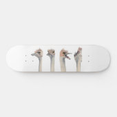 "戯曲女王"のおもしろいなだちょうの絵を描くこと スケートボード (横)