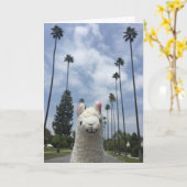 戯曲挨拶状無しのラマ カード (黄色い花)