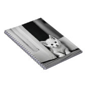 戸口に白い子猫 ノートブック (右側)