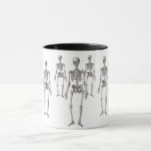 戸棚からだれが骨組を可能にしましたか。 マグ (中央)