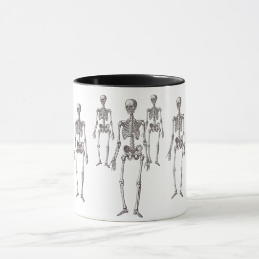 戸棚からだれが骨組を可能にしましたか。 マグ (中央)