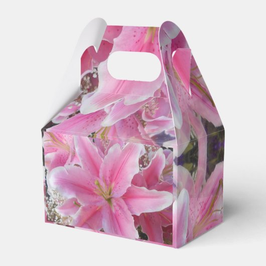 戸間科 フェイバーボックス (裏面サイド)