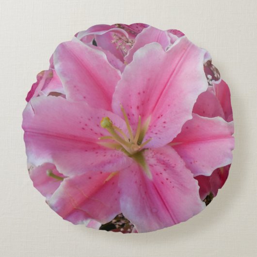 戸間科 ラウンドクッション (正面)