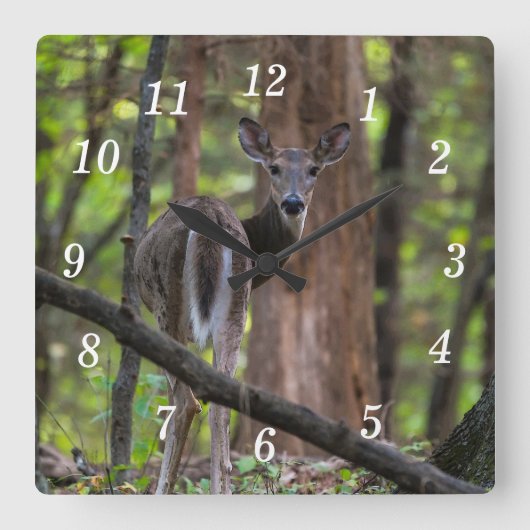 戻ってペイインターリーの壁時計 スクエア壁時計 (正面)