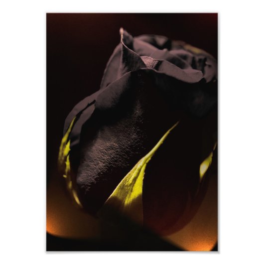 戻る フォトプリント            (正面)