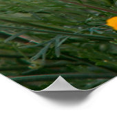 房で育つ美しく香りのよい野花 ポスター (角)