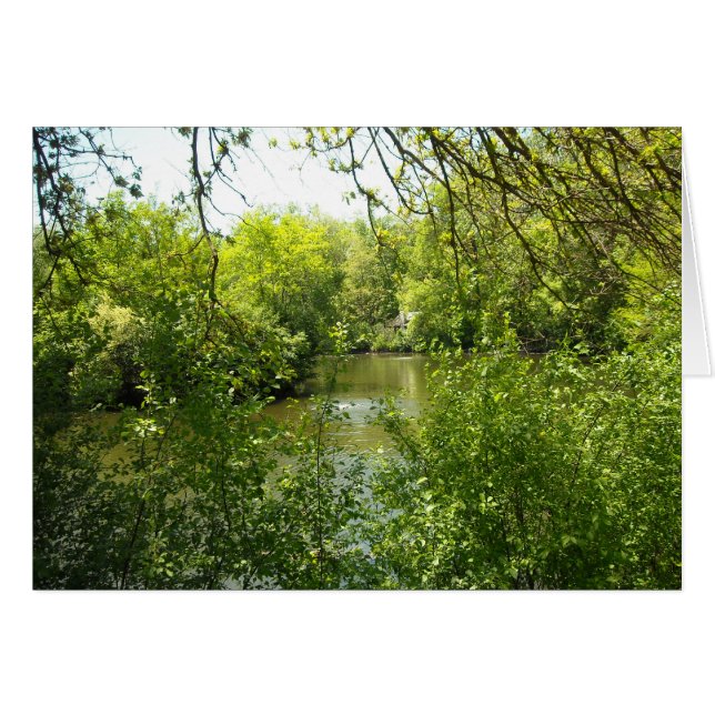 房の付いた家遠くに (正面横)