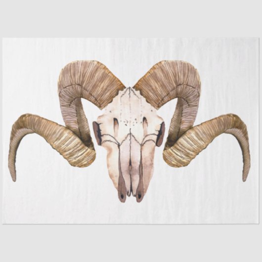 房保スカル花シリーズデザイン2 薄葉紙 (正面)