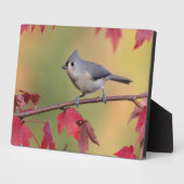 房状タイトマウス フォトプラーク (側面)