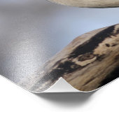 房状タイトマウス フォトプリント            (角)