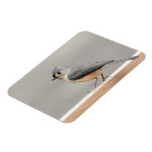 房状タイトマウス マグネット (左側)