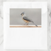 房状タイトマウス 長方形シール (バッグ)