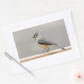 房状タイトマウス 長方形シール (封筒)