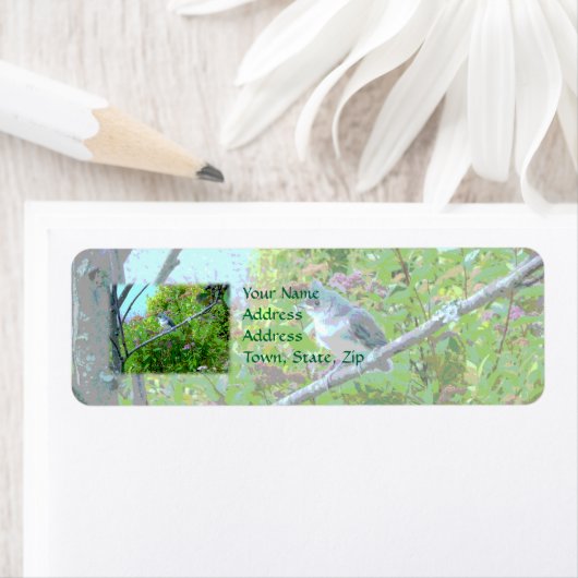 房状タイマウスの生まれたばかりのベビー鳥 ラベル (インサイチュ)