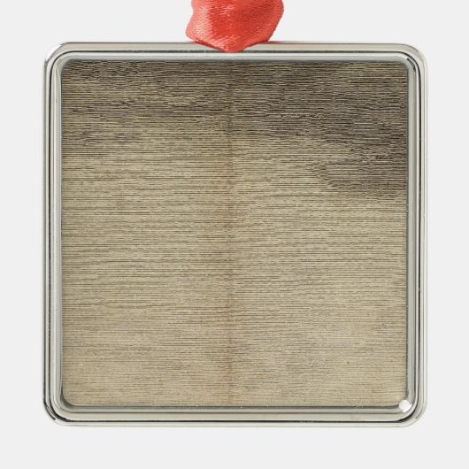 所有物湾、南ジョージア メタルオーナメント (正面)