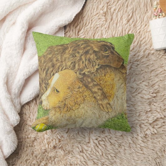 所有物 クッション (ブランケット)