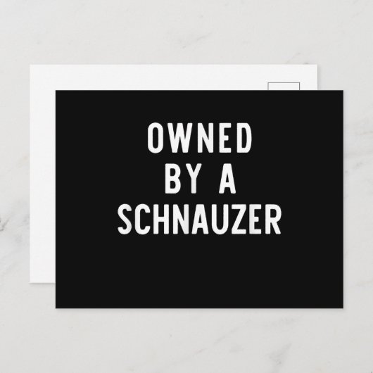 所有Schnauzerおもしろい犬恋人ギフトクリスマス 案内ポストカード (正面/裏面)