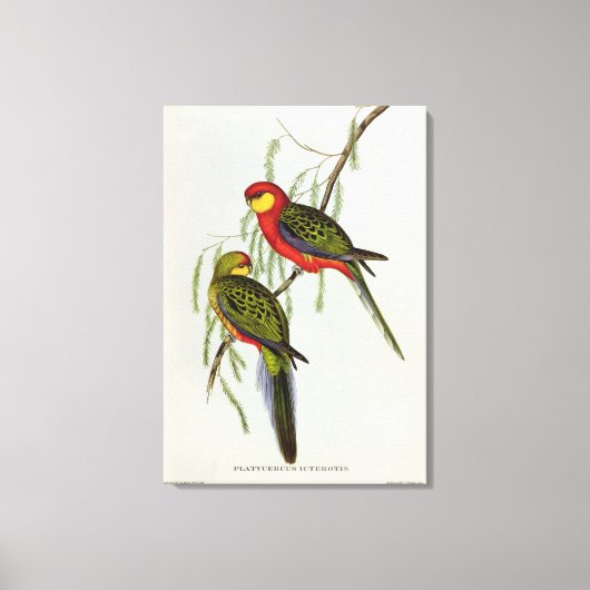 扁平嚢炎 キャンバスプリント (正面)