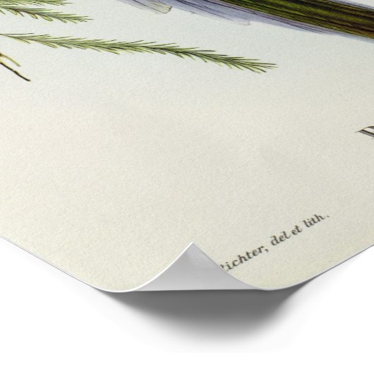 扁平嚢炎 ポスター (角)