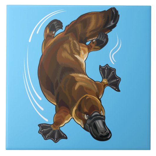 扁平足 タイル (正面)