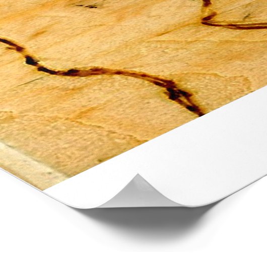 扁平足 ポスター (角)