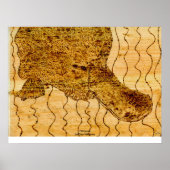 扁平足 ポスター (正面)