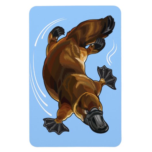 扁平足 マグネット (縦)