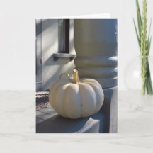 手すりに白いカボチャ – マーサのブドウ畑