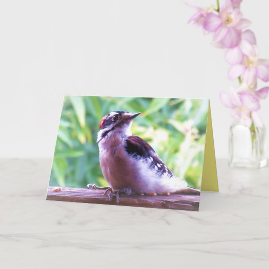 手すりに腰を下げた若い男の木ペッカー カード (蘭)