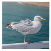 手すりの上のカモメ表示セラミックタイル タイル (正面)