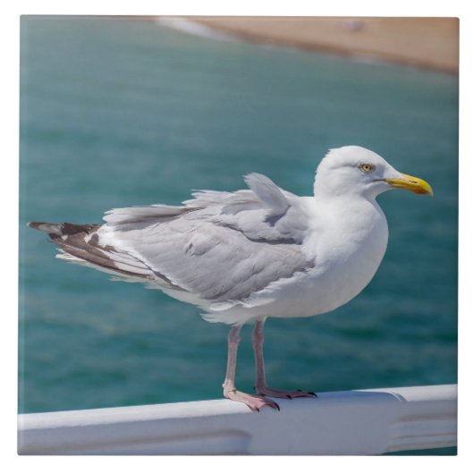 手すりの上のカモメ表示セラミックタイル タイル (正面)